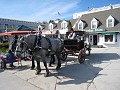 Mackinaw Island Area May 2008 0961